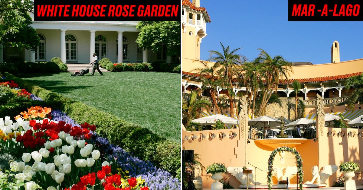 Donald Trump Bulldozes the White House Rose Garden