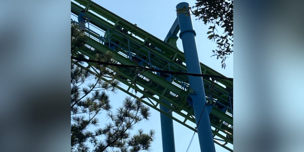 Park goers stuck on rides due to power outage at South Georgia theme park, parents say