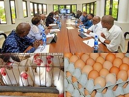Haiti – Agriculture : Important meeting on the poultry sector